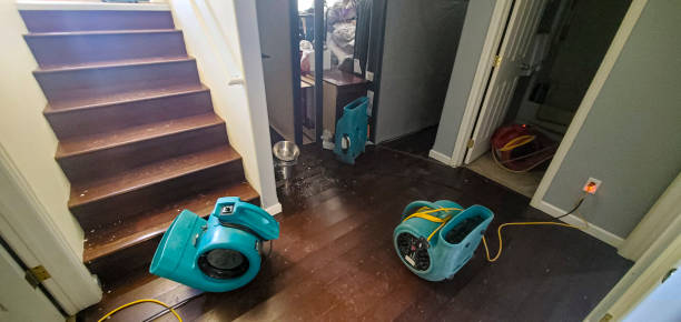 Best Residential water damage restoration  in Jackson, LA