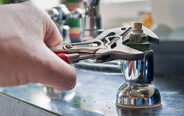 Best Flood damage cleanup  in Jackson, LA