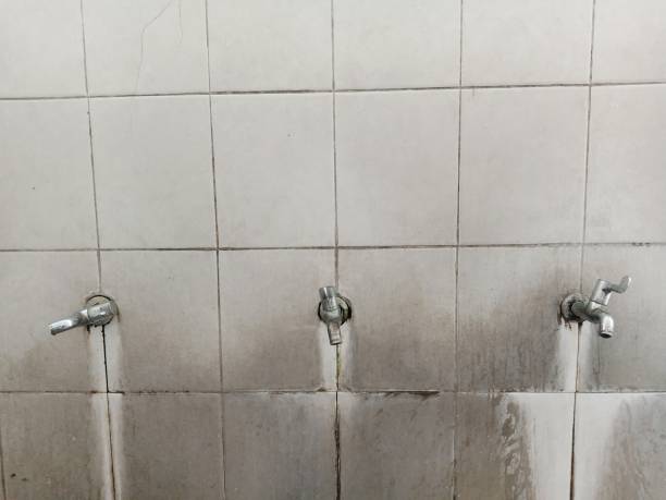 Water damage restoration mold remediation in LA