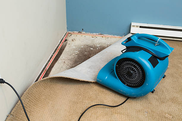 Reliable LA Water damage restoration Solutions